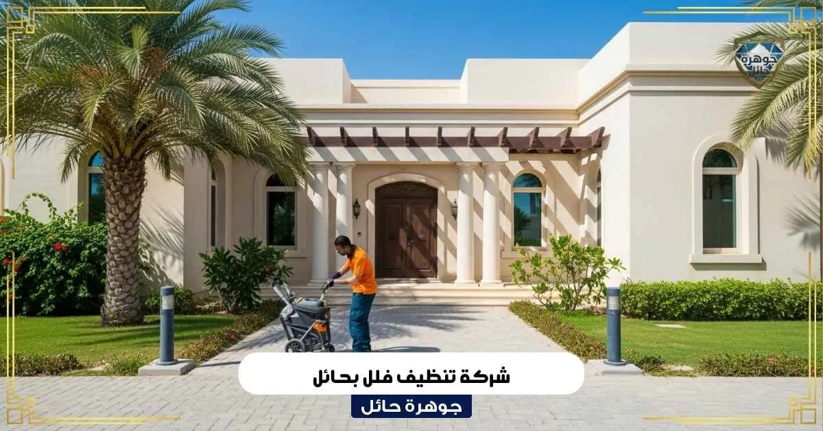 شركة تنظيف فلل بحائل