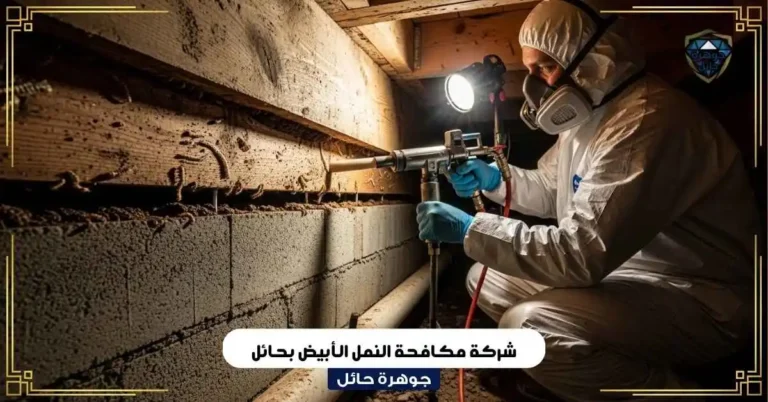 شركة مكافحة النمل الأبيض بحائل