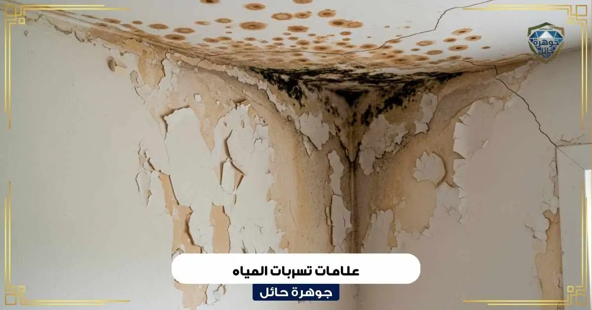 علامات تسربات المياه وكيفية اكتشافها