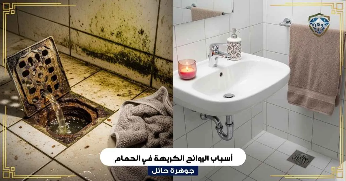 أسباب الروائح الكريهة في الحمام وحلولها