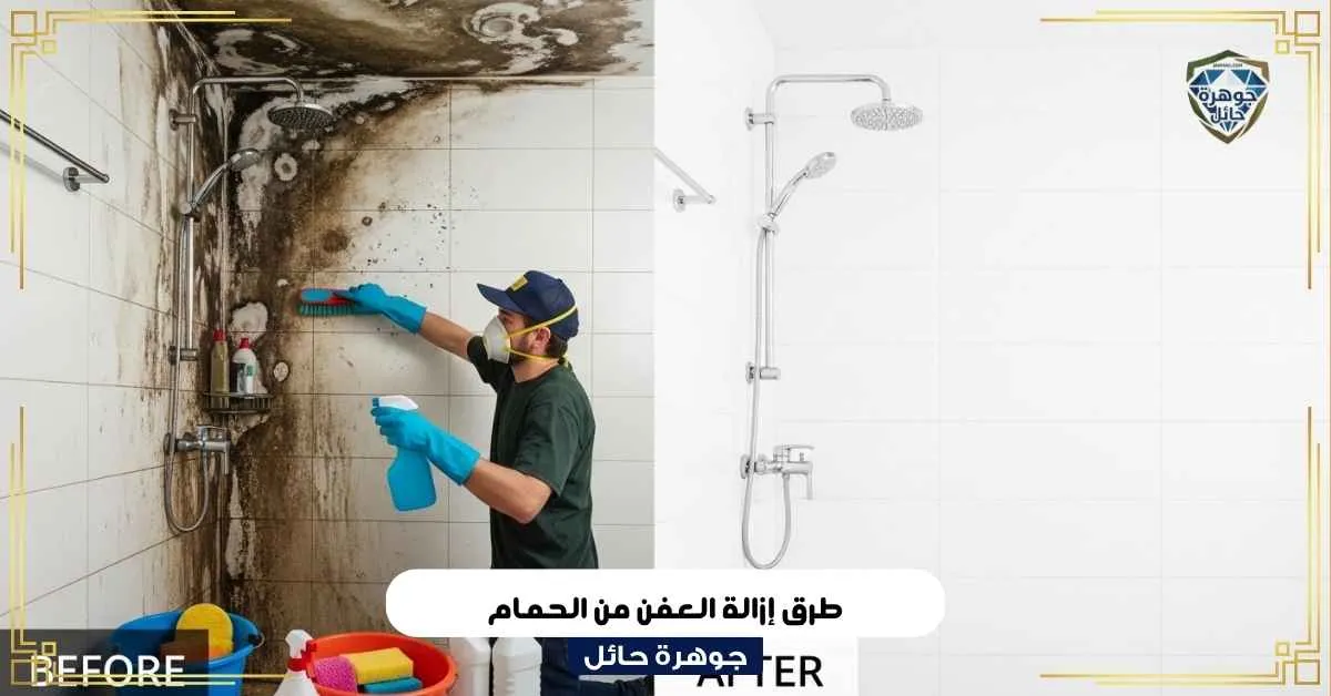 طرق إزالة العفن من الحمام