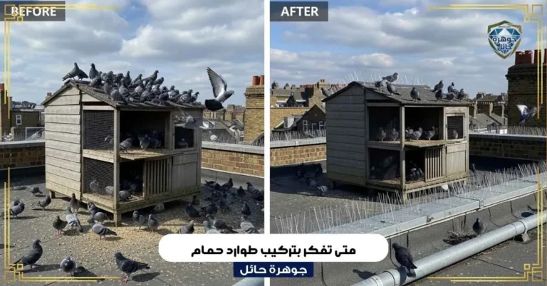 متى تفكر بتركيب طوارد حمام
